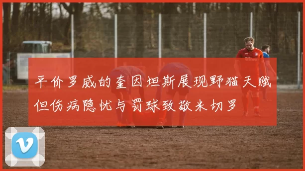 平价罗威的奎因坦斯展现野猫天赋但伤病隐忧与罚球致敬米切罗