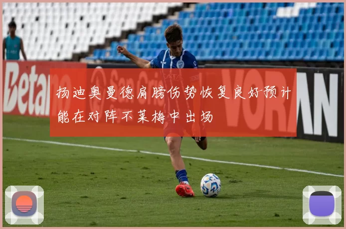 扬迪奥曼德肩膀伤势恢复良好预计能在对阵不莱梅中出场